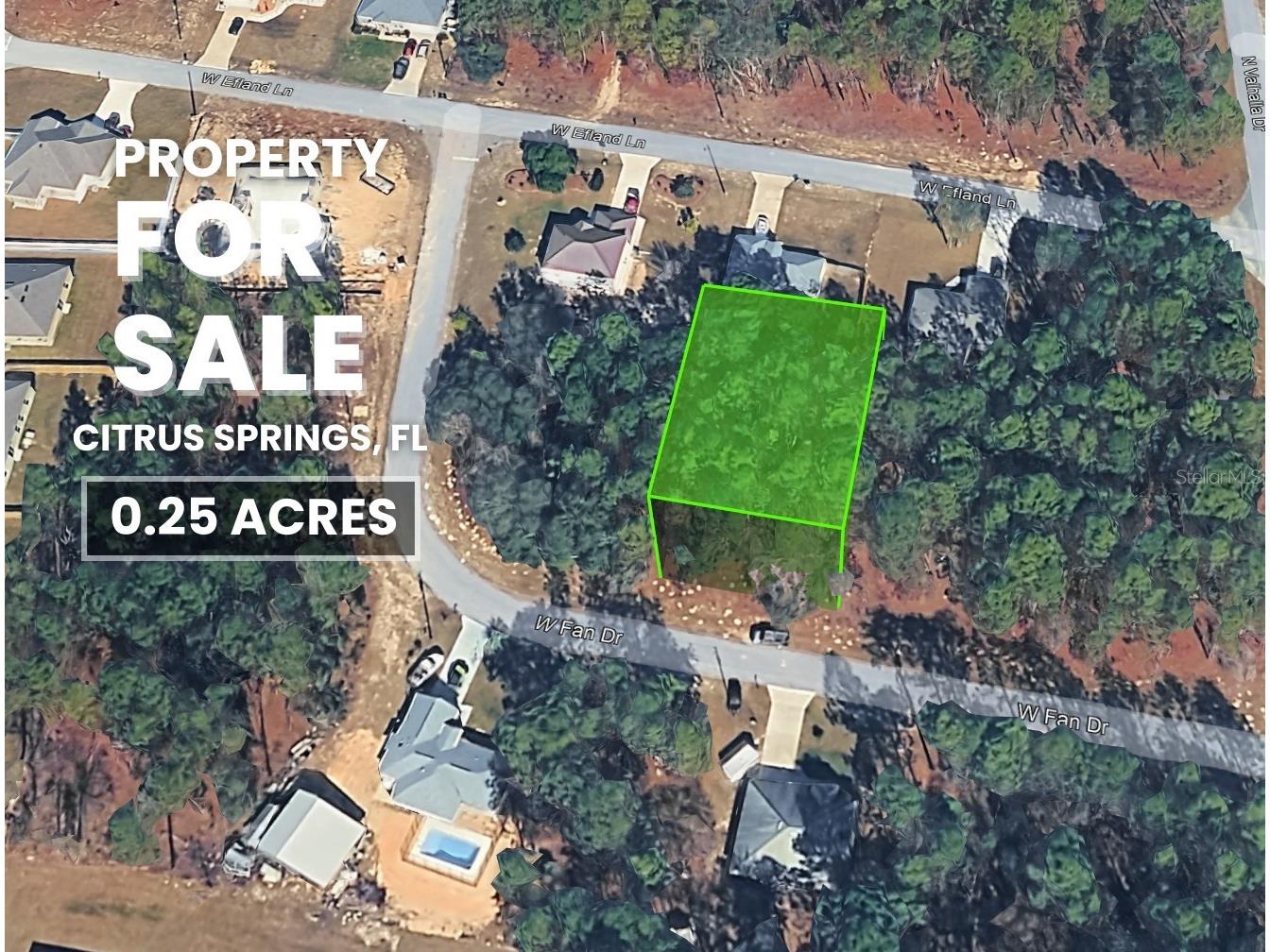 1217 W Fan Drive Citrus Springs FL 34434 TB8462554 image1