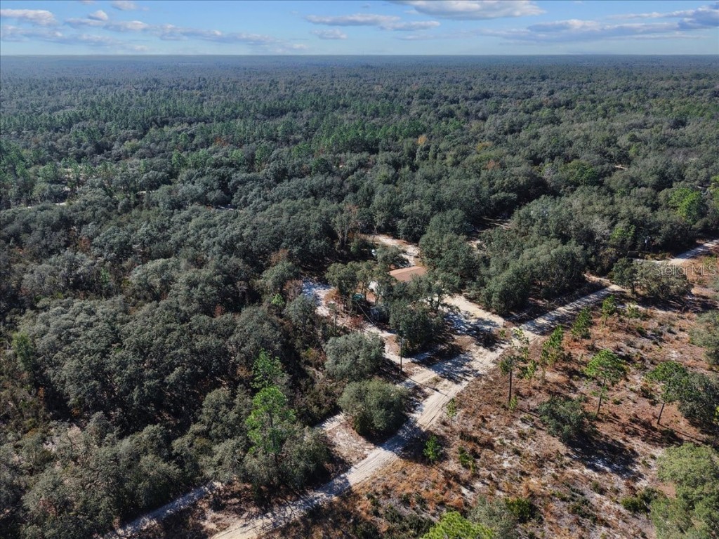 12170 NE 90th Street Bronson FL 32621 GC536045 image52