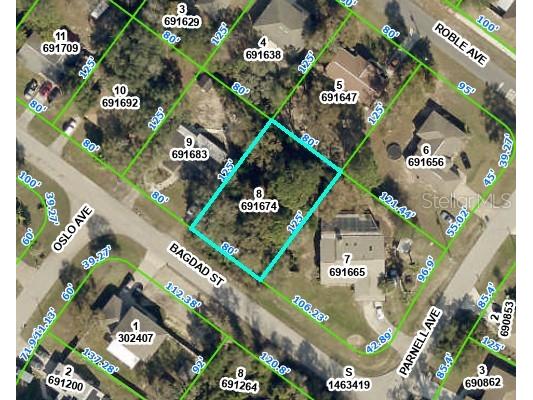 12171 Bagdad Street Spring Hill FL 34608 W7857142 image1