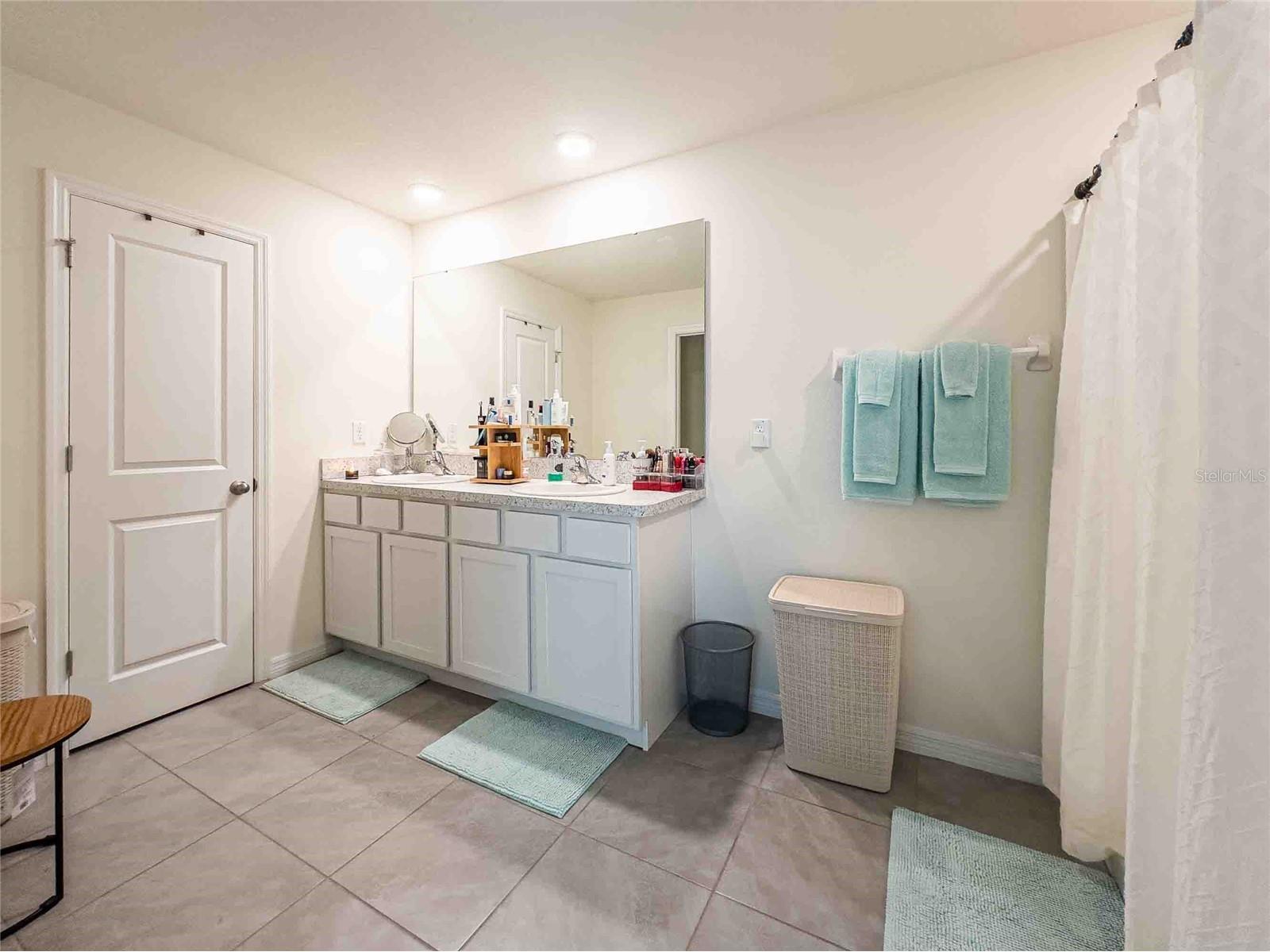 12172 Lily Magnolia Lane Riverview FL 33569 TB8478568 image18