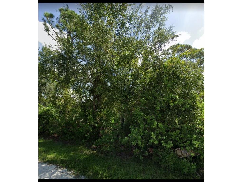 12174 Cartouche Avenue Punta Gorda FL 33955 O6145706 image1