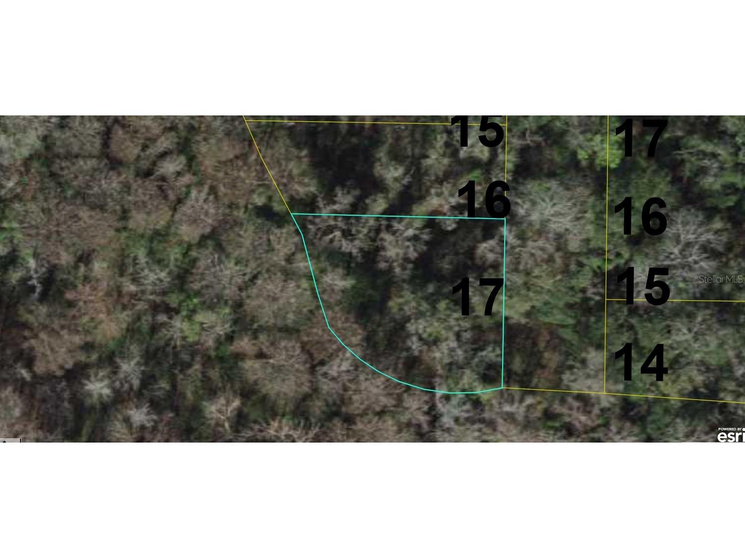 12174 SW 30th Drive Webster FL 33597 A4587317 image1