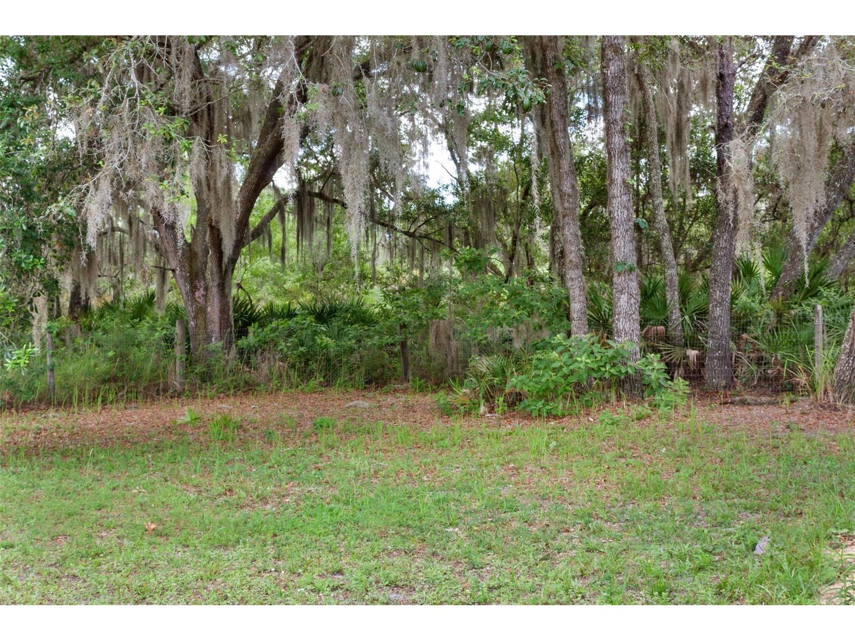 12174 W Fig Tree Lane #1 Crystal River FL 34428 O6411599 image33
