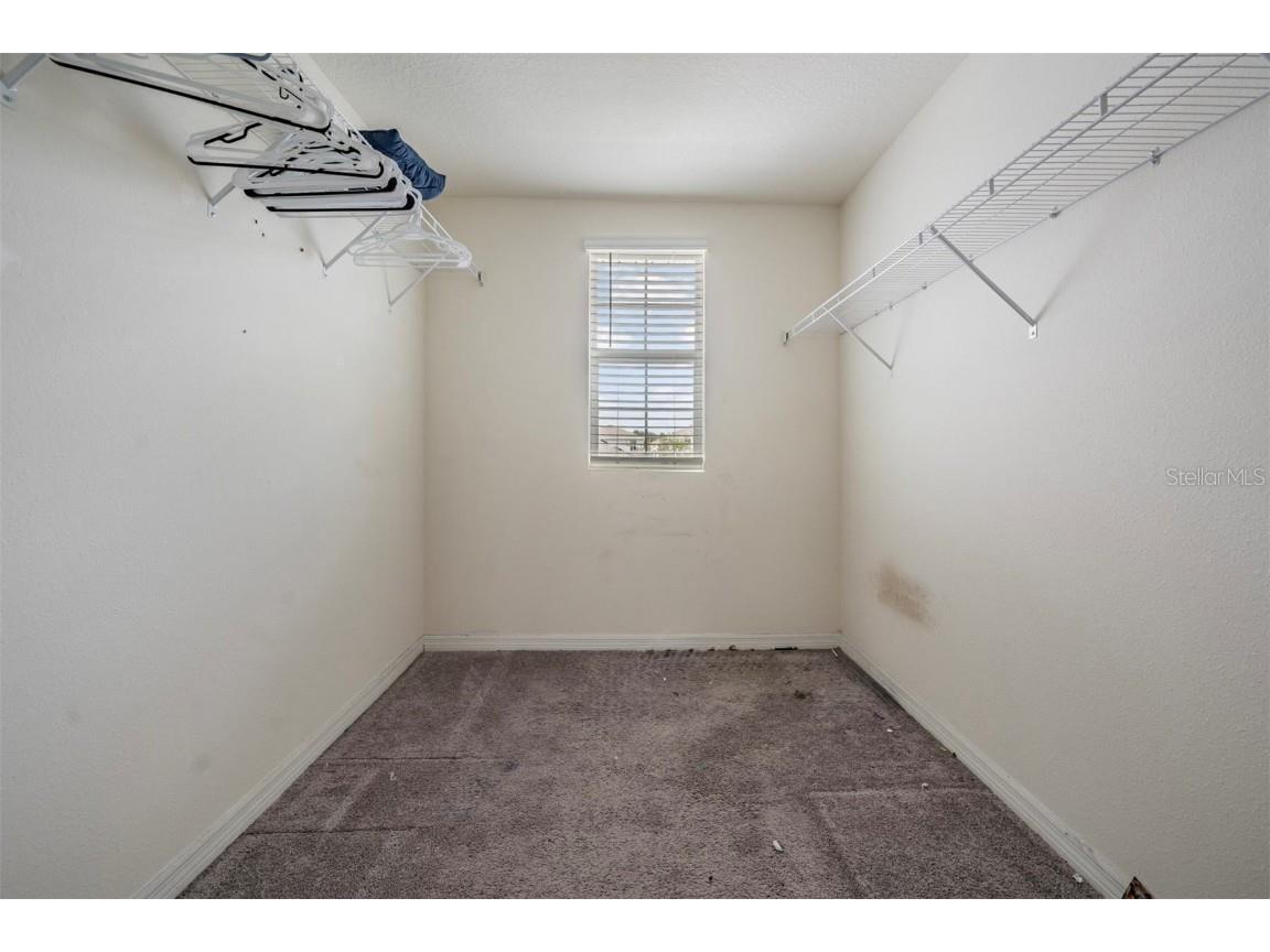 12175 Water Ash Place Riverview FL 33579 TB8430444 image22