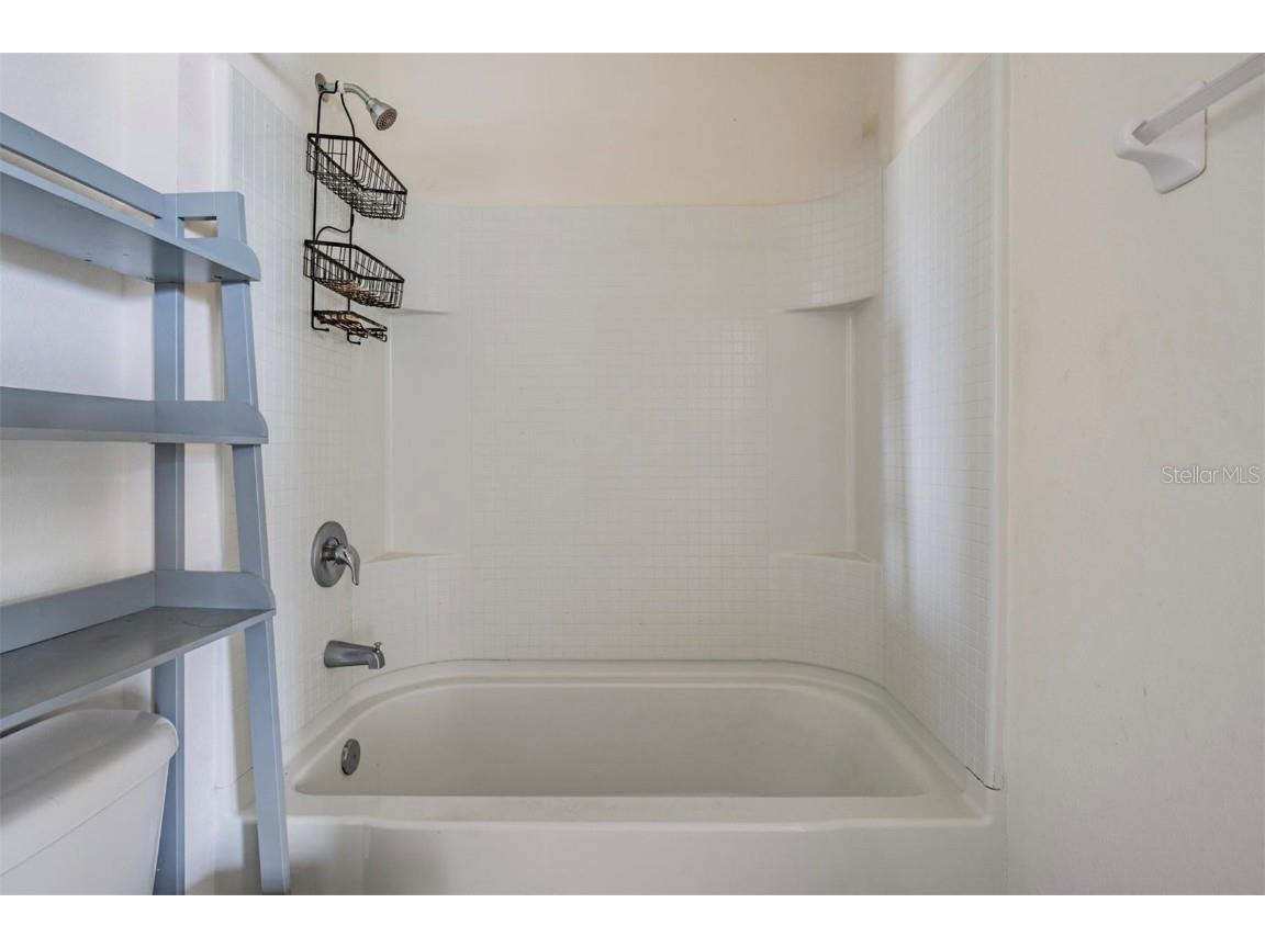 12175 Water Ash Place Riverview FL 33579 TB8430444 image24