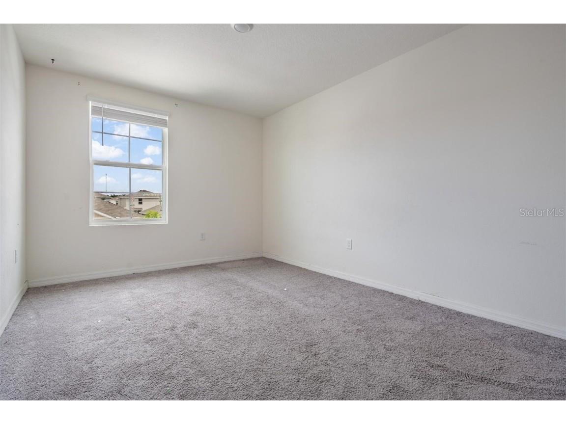 12175 Water Ash Place Riverview FL 33579 TB8430444 image29