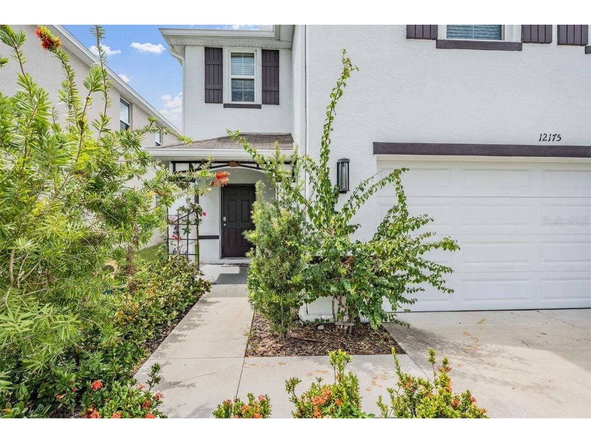 12175 Water Ash Place Riverview FL 33579 TB8430444 image35