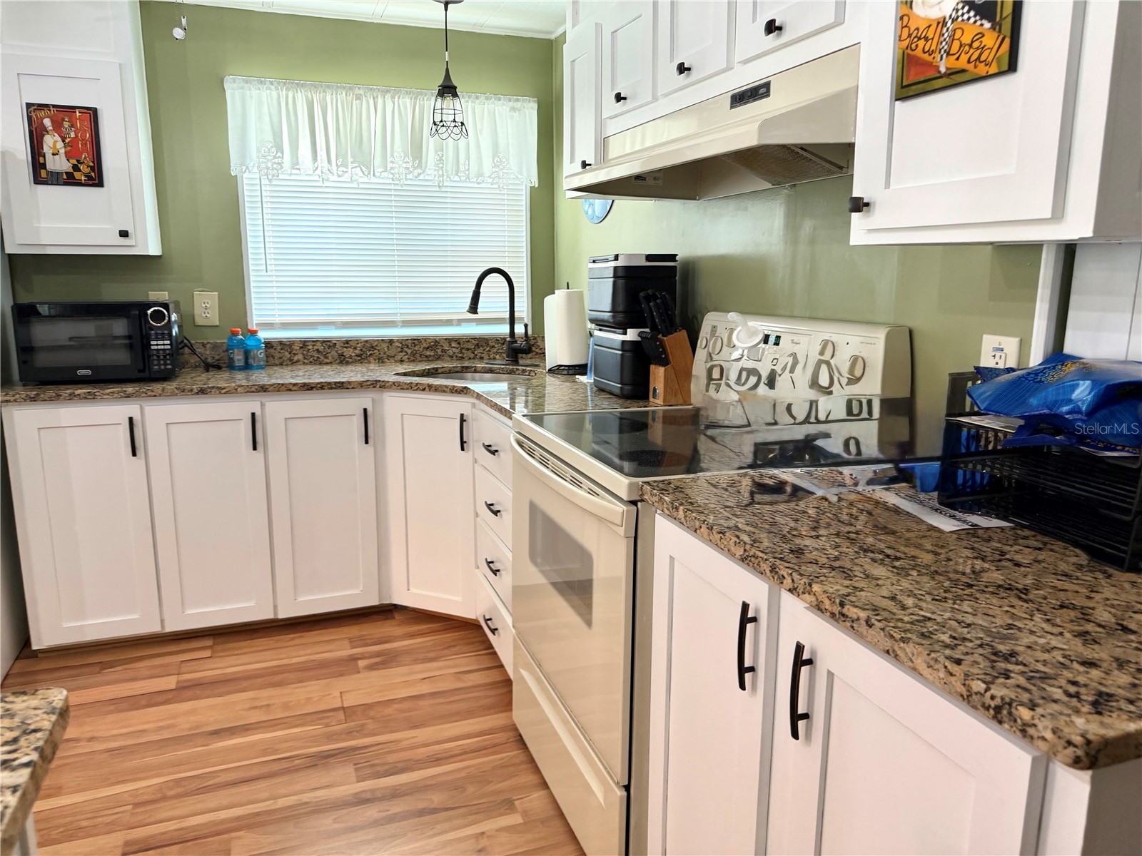 12176 Evantide Avenue Brooksville FL 34613 W7886350 image11