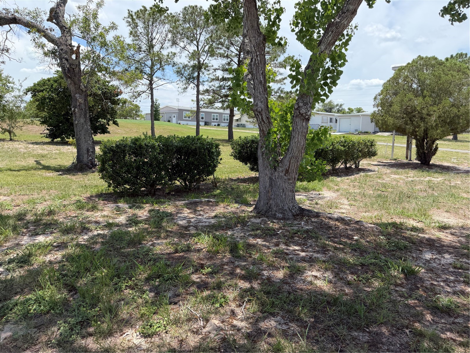 12176 Evantide Avenue Brooksville FL 34613 W7886350 image31