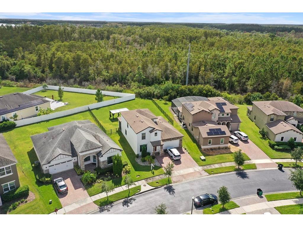 12177 Northover Loop Orlando FL 32824 O6342949 image5