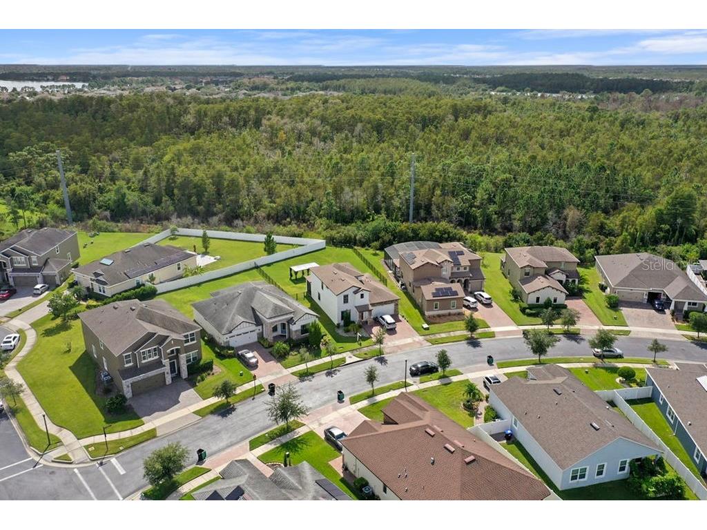 12177 Northover Loop Orlando FL 32824 O6342949 image6