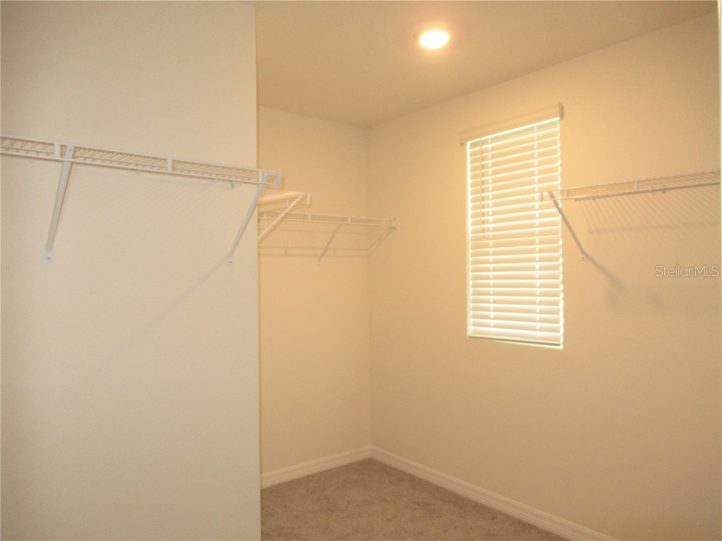 12178 Lily Magnolia Lane Riverview FL 33569 TB8423809 image12