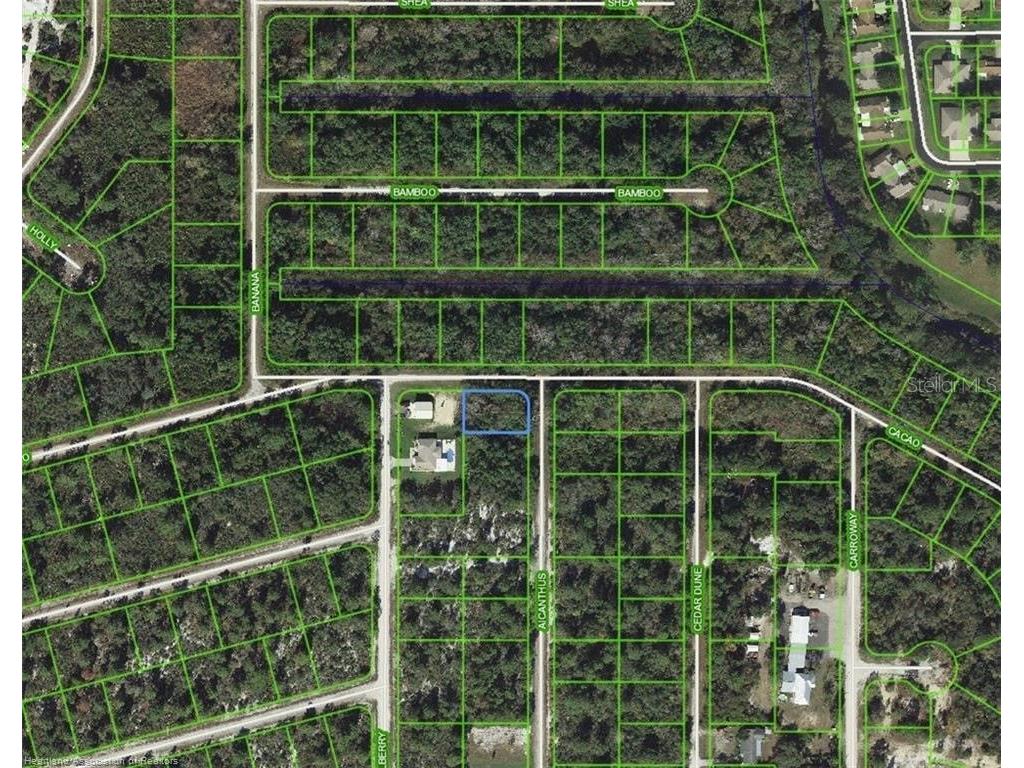 1218 Ailanthus Street Lake Placid FL 33852 L4947642 image1