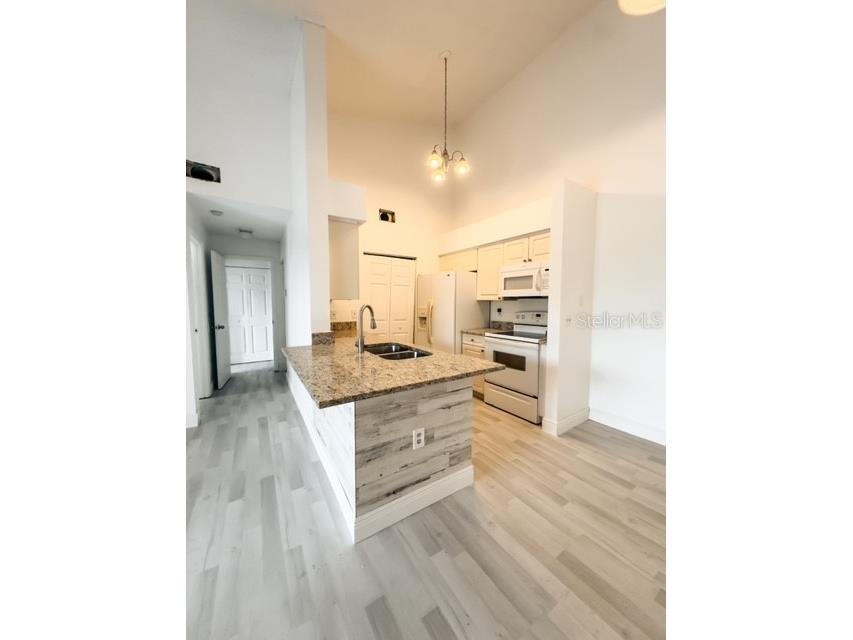 1218 Bermuda Lakes Lane #204 Kissimmee FL 34741 O6205214 image1