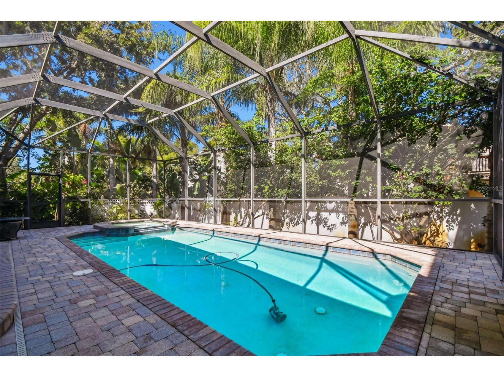 1218 Castle Terrace Tarpon Springs FL 34689 W7880511 image15