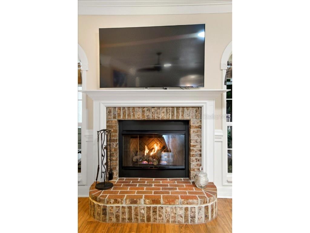 1218 Lavender Jewel Court Plant City FL 33563 A4667159 image10