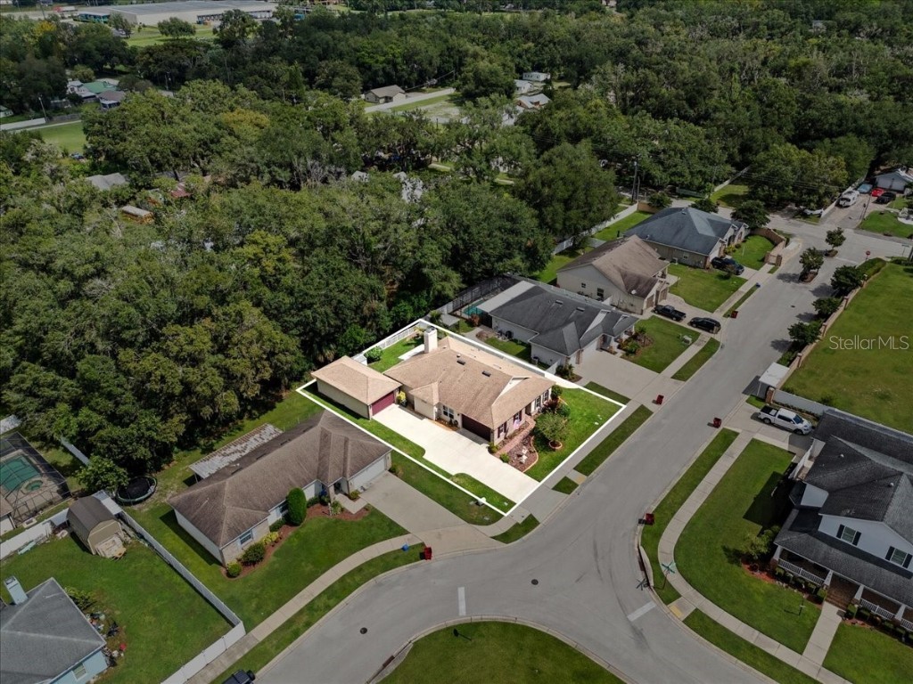 1218 Lavender Jewel Court Plant City FL 33563 A4667159 image2