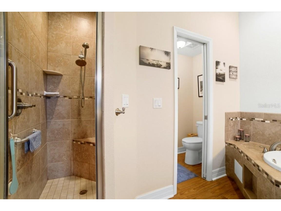 1218 Lavender Jewel Court Plant City FL 33563 A4667159 image26