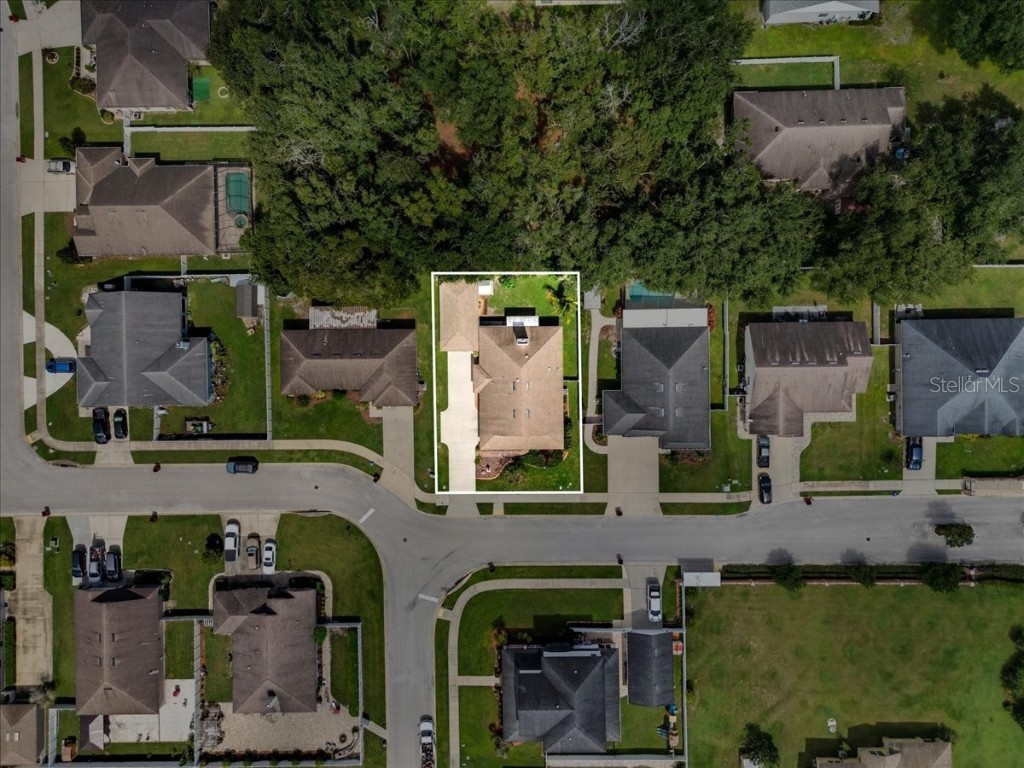 1218 Lavender Jewel Court Plant City FL 33563 A4667159 image45