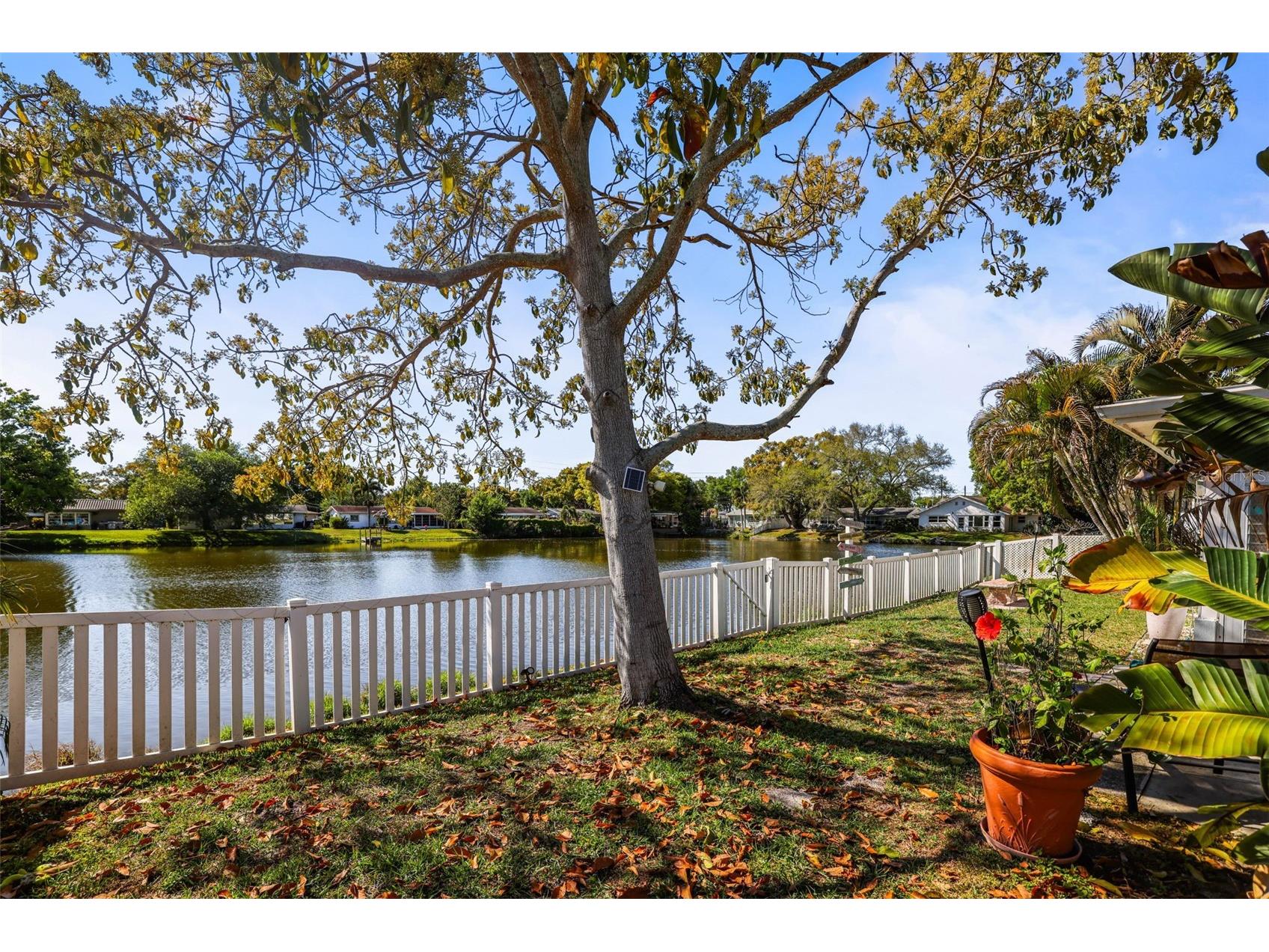 1218 Lazy Lake Road E Dunedin FL 34698 TB8498183 image43