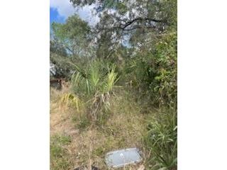 1218 W 6th Street Sanford FL 32771 O6337429 image7