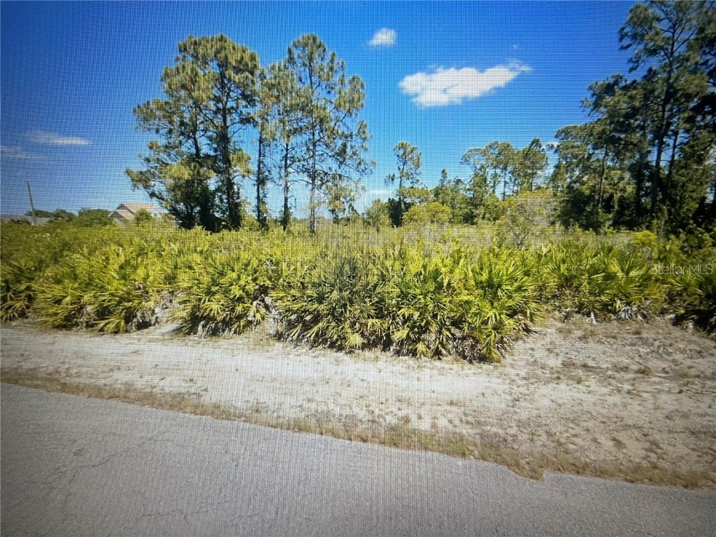 1218 Wagner Avenue Lehigh Acres FL 33972 G5083468 image1