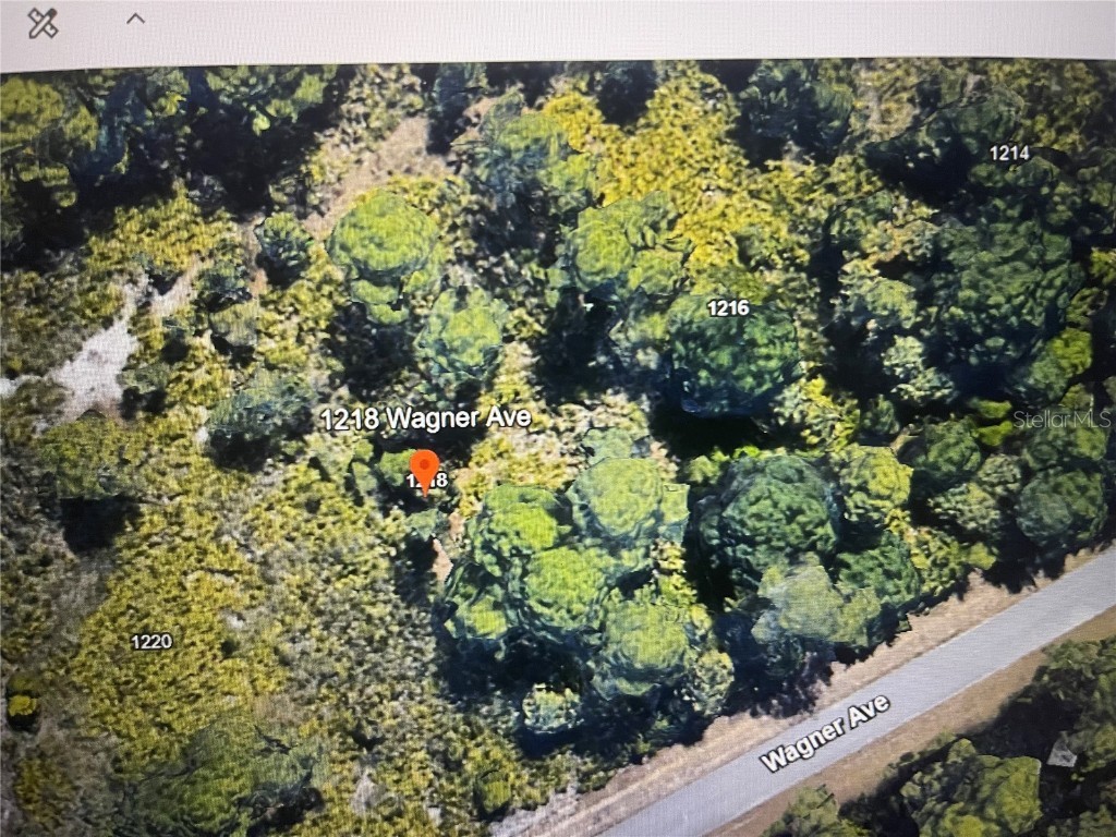 1218 Wagner Avenue Lehigh Acres FL 33972 G5083468 image2