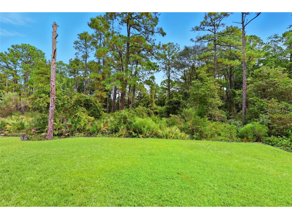 1218 Wetland Ridge Circle Middleburg FL 32068 GC534657 image57