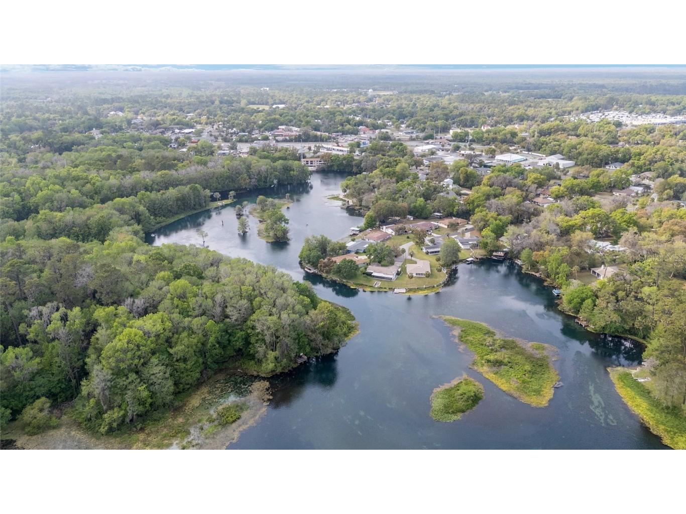 12180 Maple Street Dunnellon FL 34432 - RAINBOW RIVER OM698019 image2