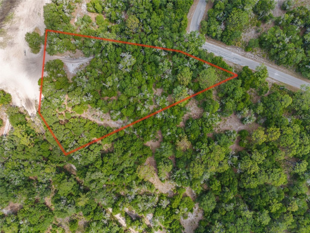 12180 W Olive Tree Lane Crystal River FL 34428 T3531253 image2