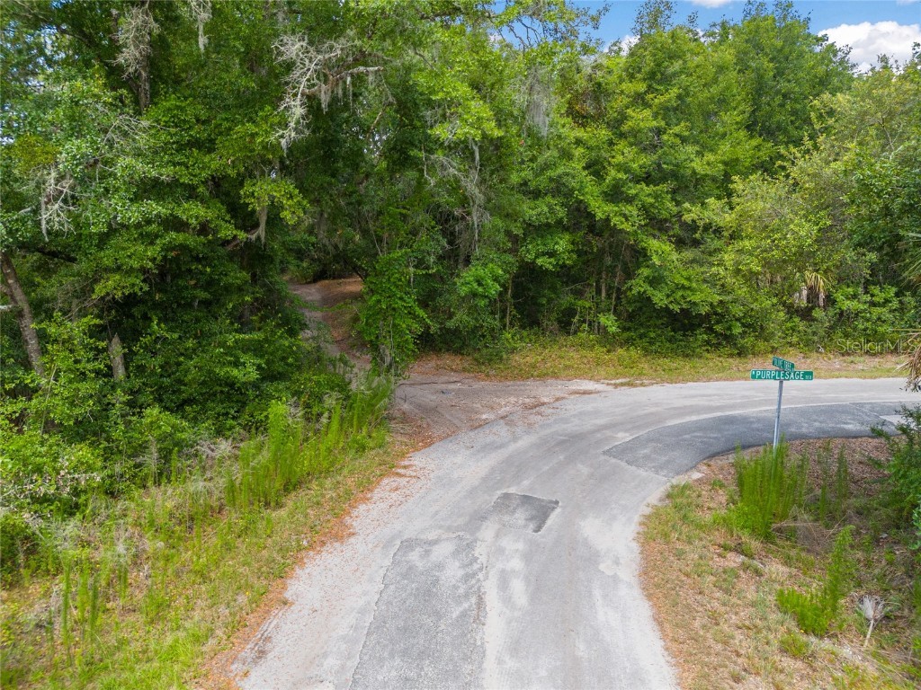 12180 W Olive Tree Lane Crystal River FL 34428 T3531253 image3