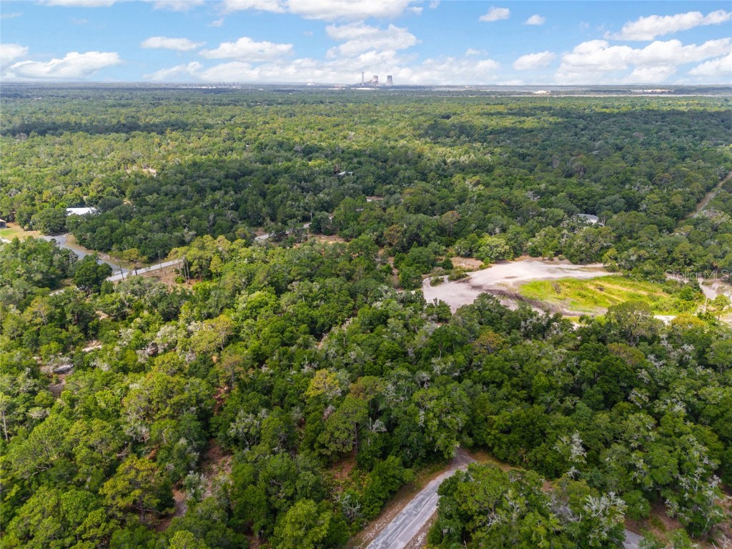 12180 W Olive Tree Lane Crystal River FL 34428 T3531253 image4