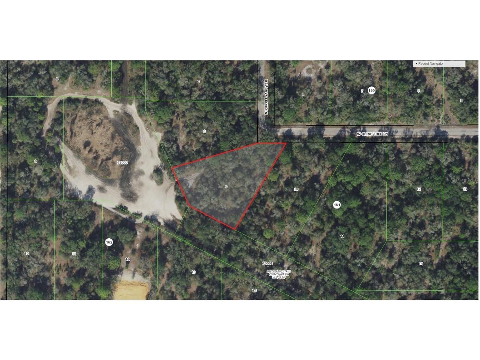 12180 W Olive Tree Lane Crystal River FL 34428 T3531253 image5