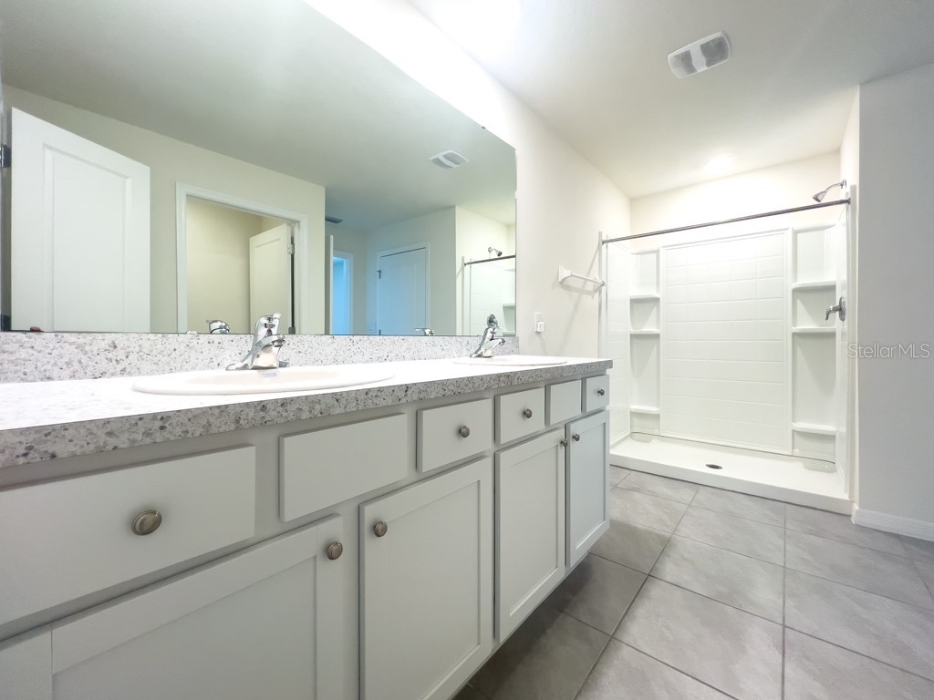 12181 Downy Birch Drive Riverview FL 33569 TB8478577 image29