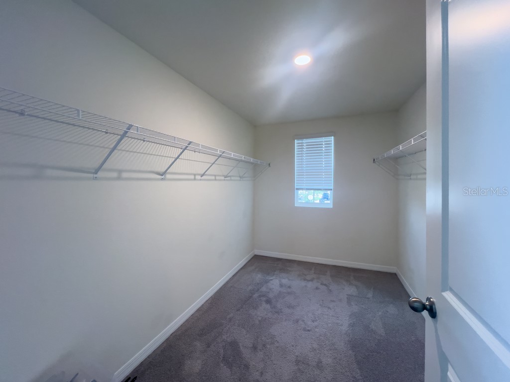 12181 Downy Birch Drive Riverview FL 33569 TB8478577 image35