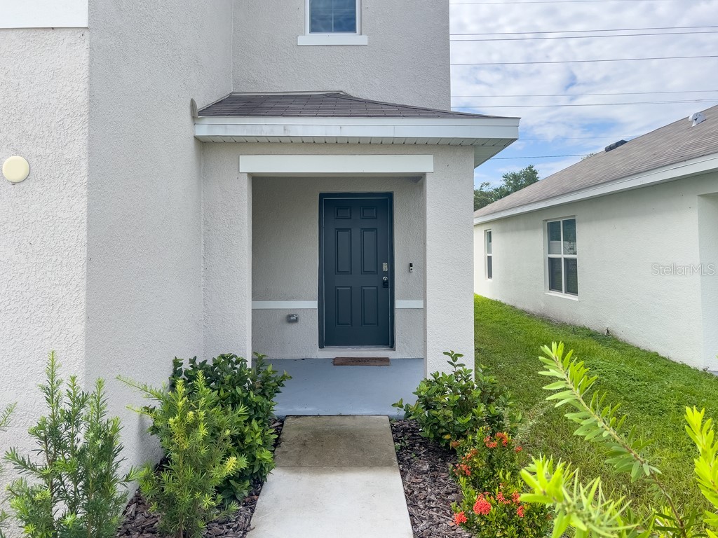 12181 Downy Birch Drive Riverview FL 33569 TB8478577 image5