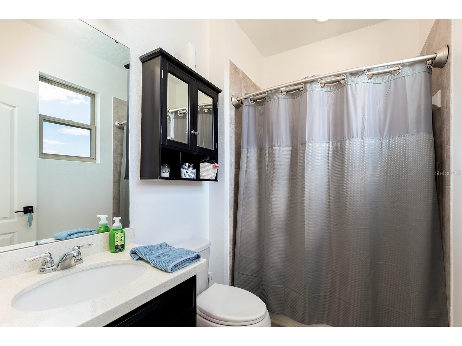 12182 Sandy Apple Road Orlando FL 32824 O6400797 image10