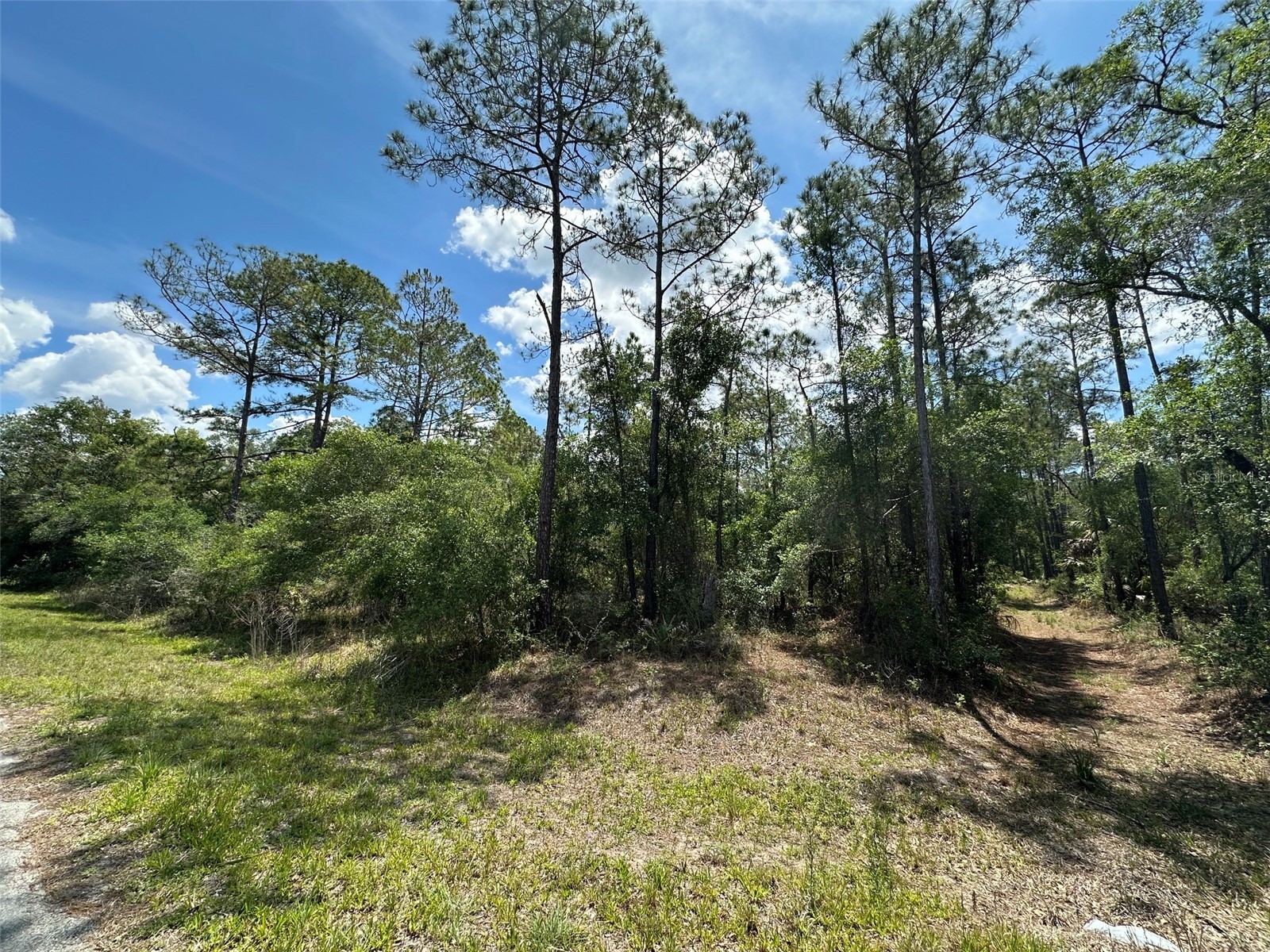 12184 W Arborvitae Place Crystal River FL 34428 W7885467 image1