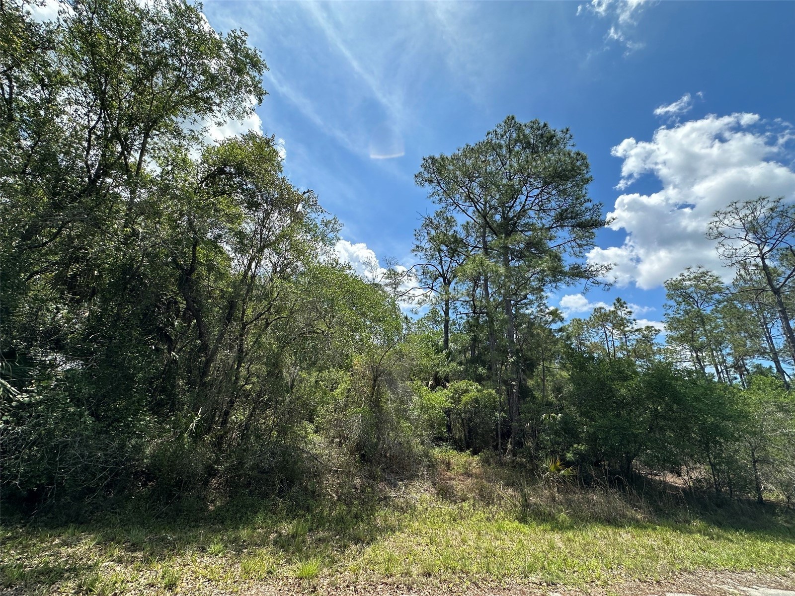 12184 W Arborvitae Place Crystal River FL 34428 W7885467 image2