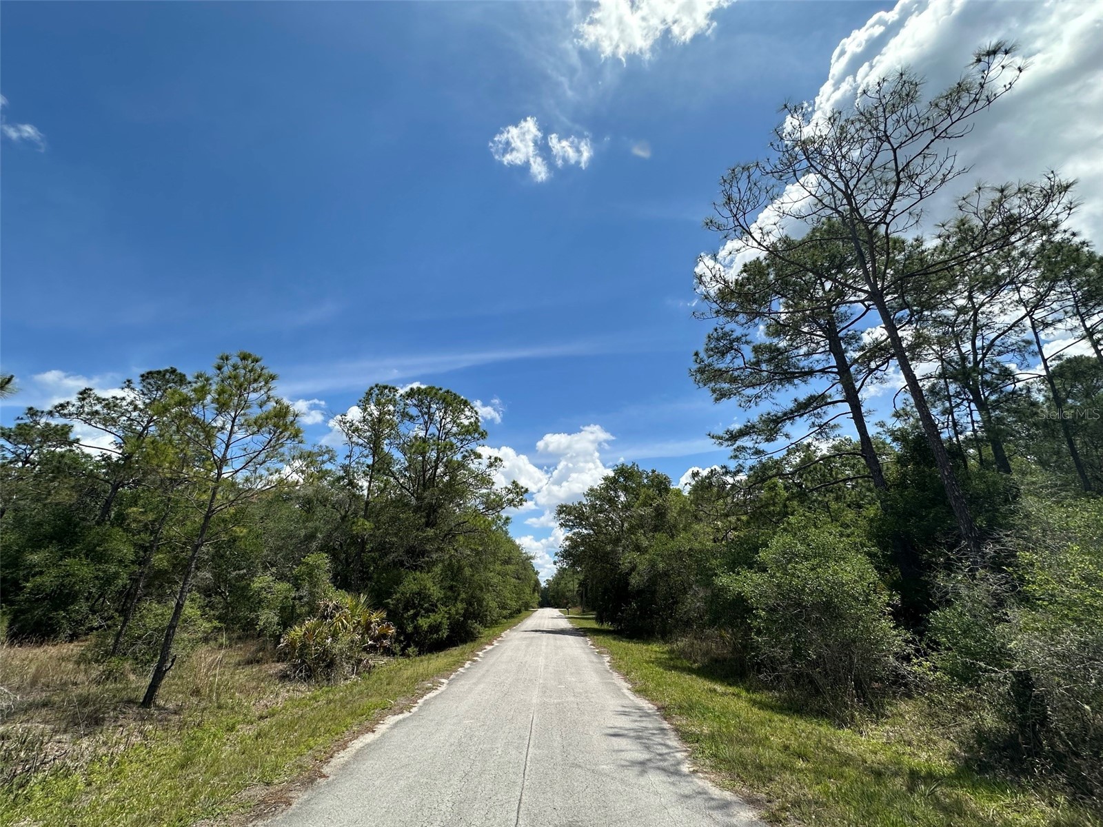 12184 W Arborvitae Place Crystal River FL 34428 W7885467 image3