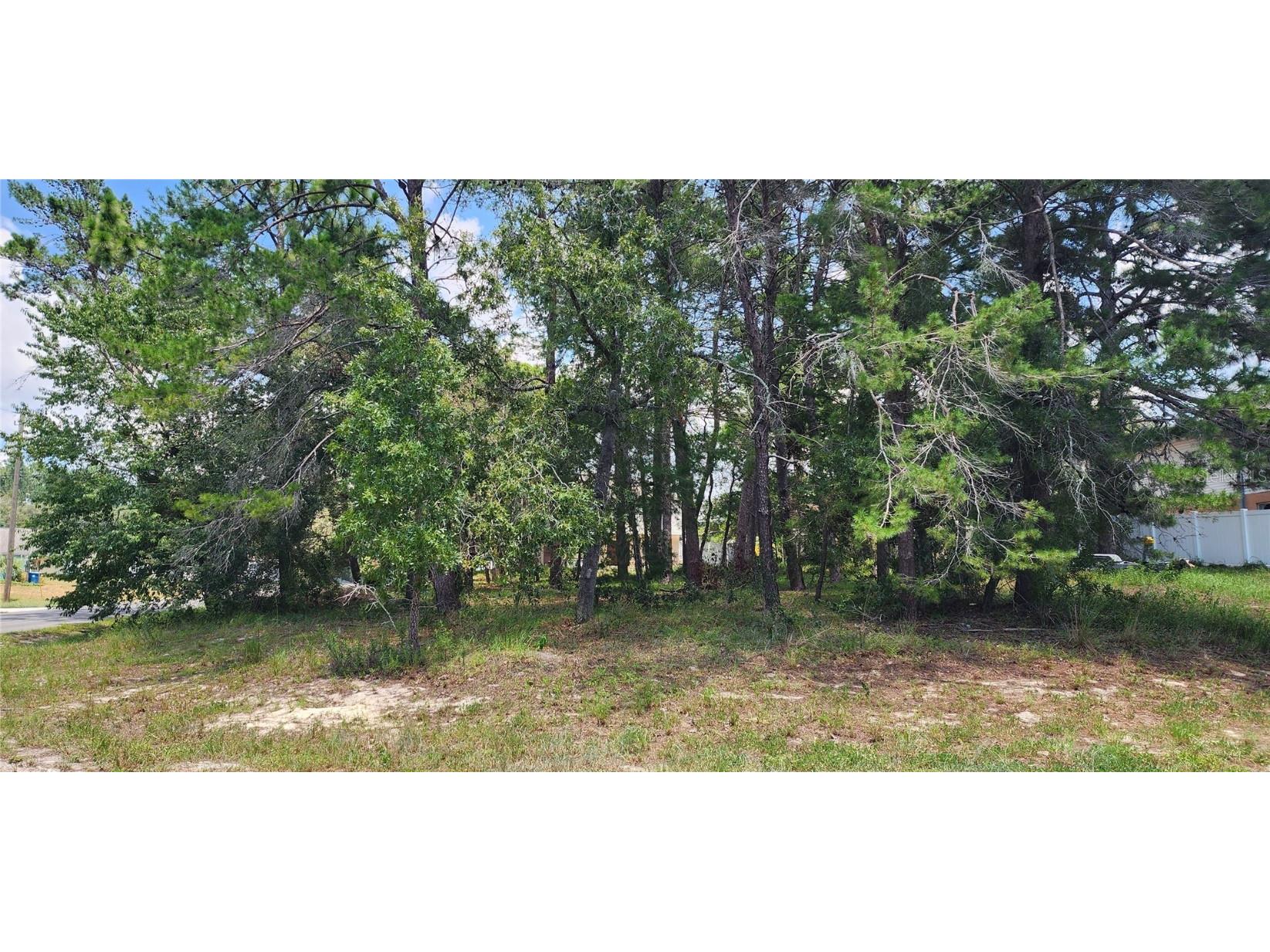 12187 Ronald Street Spring Hill FL 34609 W7857223 image1