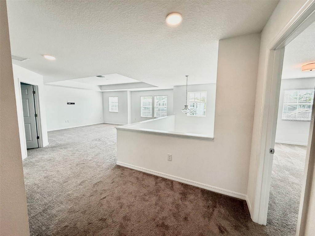 12189 Nouveau Avenue Spring Hill FL 34610 TB8431826 image38