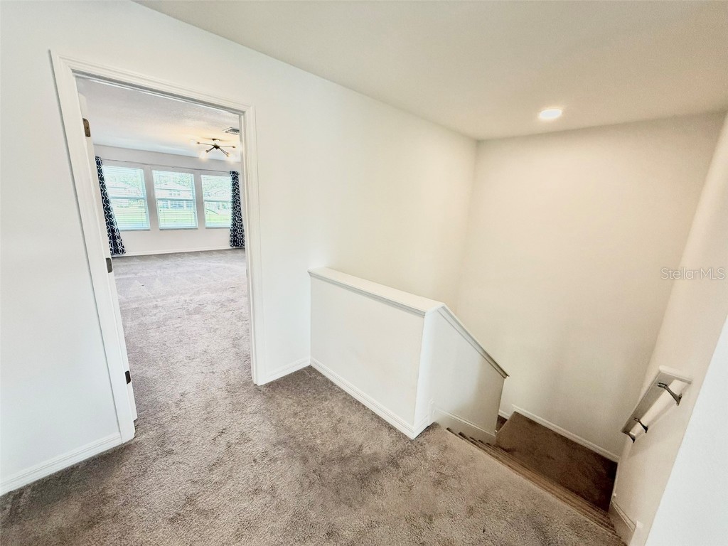 12189 Nouveau Avenue Spring Hill FL 34610 TB8454243 image37