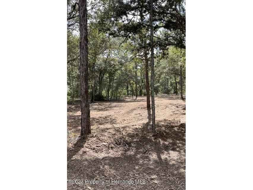 12189 Robina Road Weeki Wachee FL 34614 W7853943 image1