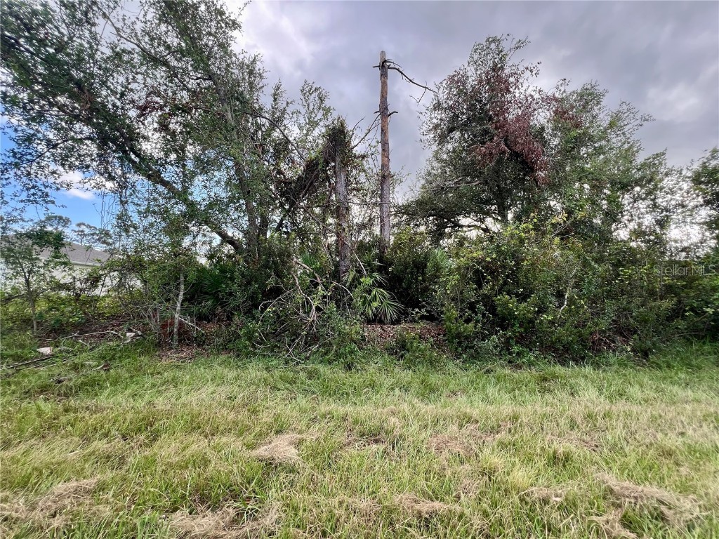 12189 Vaughan Avenue Port Charlotte FL 33981 C7498866 image1