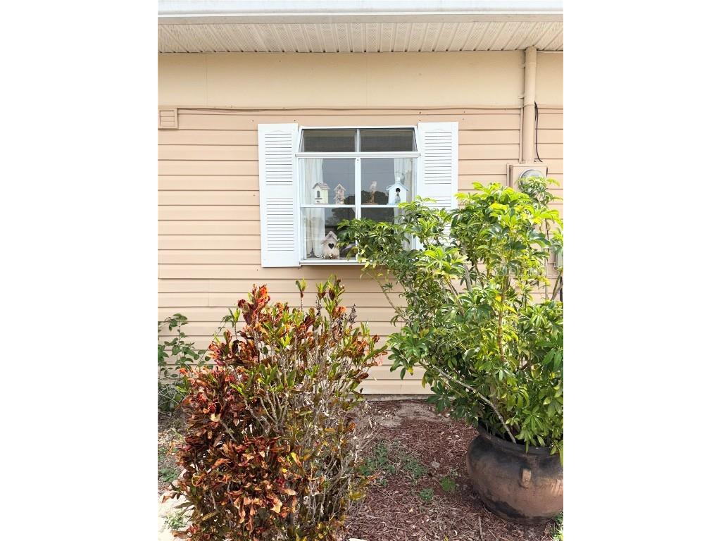 1219 Club Circle Lakeshore FL 33854 P4934263 image24