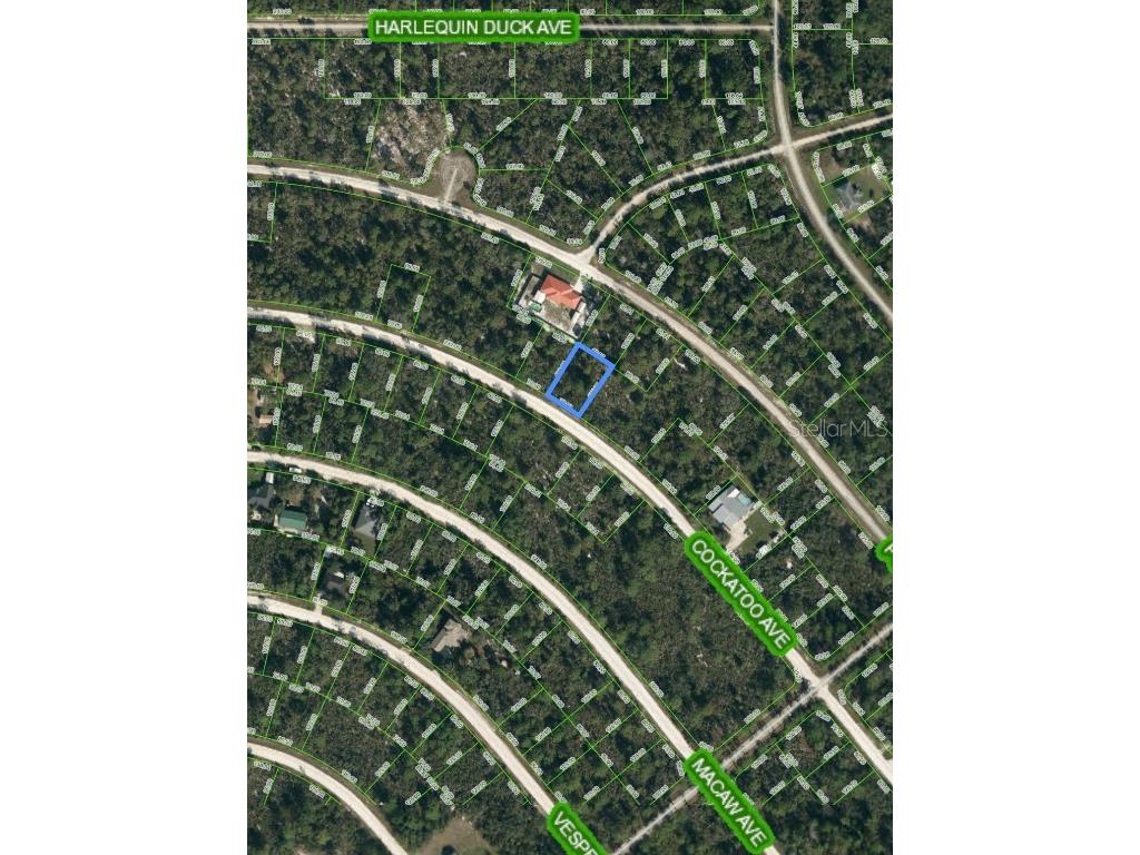 1219 Cockatoo Avenue Lake Placid FL 33852 O6100880 image1