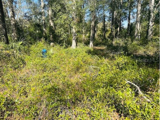 1219 N Paris Street Bell FL 32619 GC537930 image12
