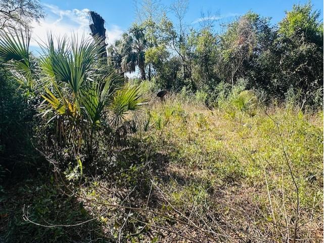 1219 N Paris Street Bell FL 32619 GC537930 image7
