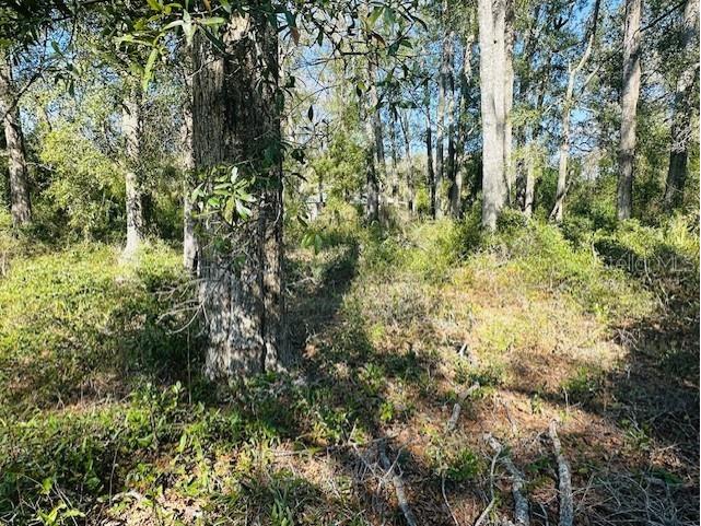 1219 N Paris Street Bell FL 32619 GC537930 image8